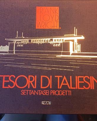 libro I tesori di taliesin