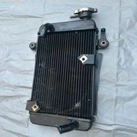 Radiatore sh 300