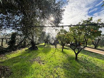 VILLA SINGOLA A CORI
