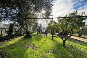 VILLA SINGOLA A CORI