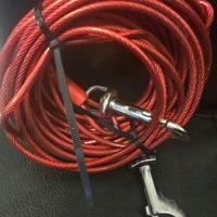 Guinzaglio e paletta per cani