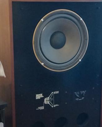 TANNOY Arden 1a serie AlNiCo