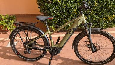 Bicicletta Raymon Pedelec verde