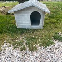 cuccia per cane piccolo medio