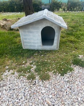 cuccia per cane piccolo medio