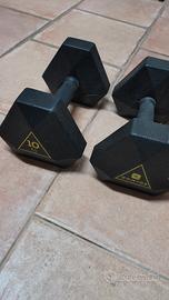2  pesi da 10 kg   (la coppia)