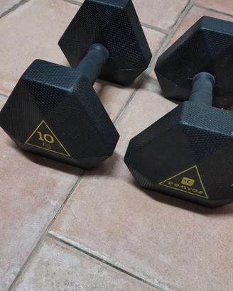 2  pesi da 10 kg   (la coppia)