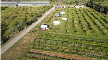 Azienda agricola con agriturismo e agricampeggio