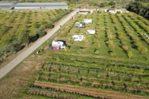 Azienda agricola con agriturismo e agricampeggio