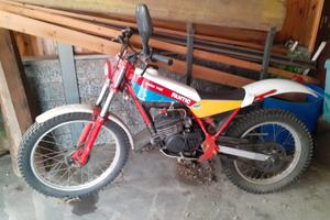 Trial Fantic 50