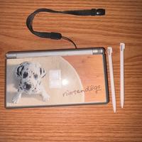 nintendo ds lite