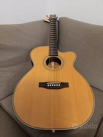 Acustica Elettrificata Liuteria Manne AS 2006