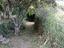 Immagine 16