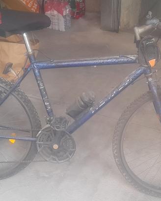 Bicicletta uomo
