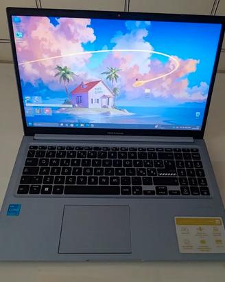 Pc portatile ASUS Vivobook 15 F1502 usato