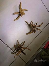 Decorazioni per acquario