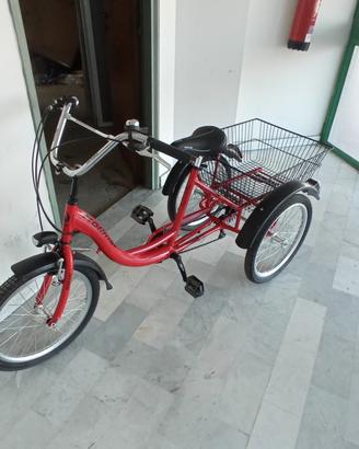 bicicletta tre ruote