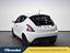 Immagine 8