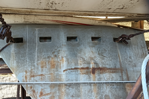 Pinna x barca a vela