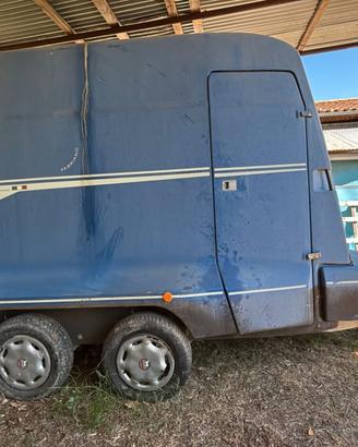 Trailer trasporto cavalli