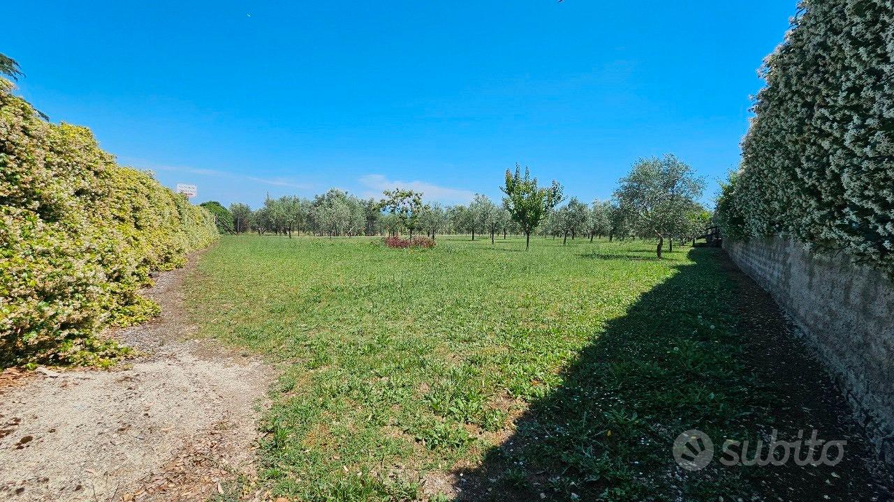 Frascati: terreno agricolo - Altro