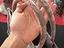 Immagine 6