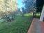 Immagine 15
