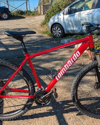Bicicletta MTB