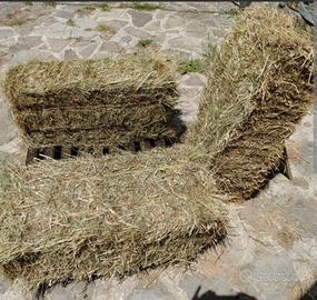 Fieno di montagna ballette