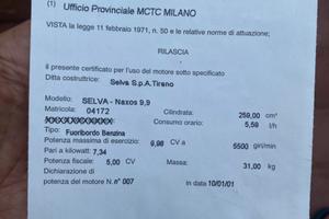 Motore selva Naxos 9.9