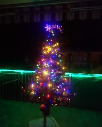 Albero Natale esterno addobbato con telecomando