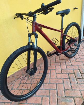 MTB Focus Whistler Ruote 29" Taglia K