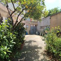 Indipendente con cortile