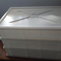 Cassette in plastica forate per alimenti 