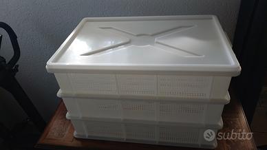Cassette in plastica forate per alimenti 