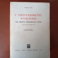 I provvedimenti d'urgenza nel diritto processuale 