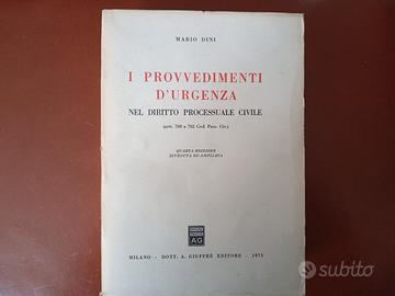 I provvedimenti d'urgenza nel diritto processuale 