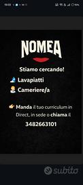Proposta lavorativa come cameriere/lavapiatti