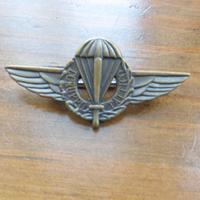 Ww2 no elmetto tedesco para RSI