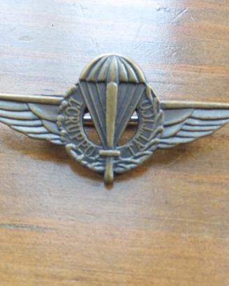 Ww2 no elmetto tedesco para RSI