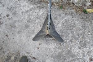 Ancora Delta 20 KG 