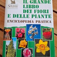 enciclopedia  piante e fiori 