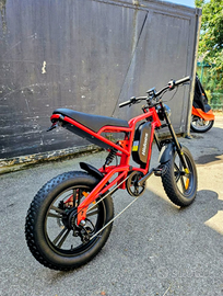 Motorino , bicicletta elettrica