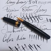 Penna stilografica Omas Lucens