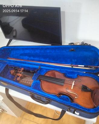 Violino 4/4 stenor