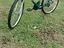 Immagine 5