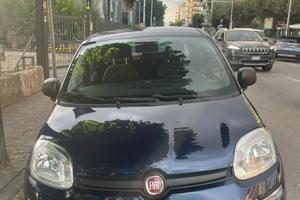 Fiat Panda 1.2 69cv lounge