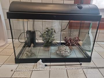Acquario
