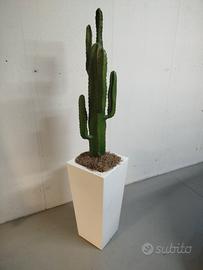  pianta cactus finto con vaso bianco