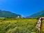 Immagine 21